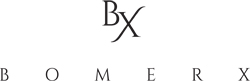 bx logo